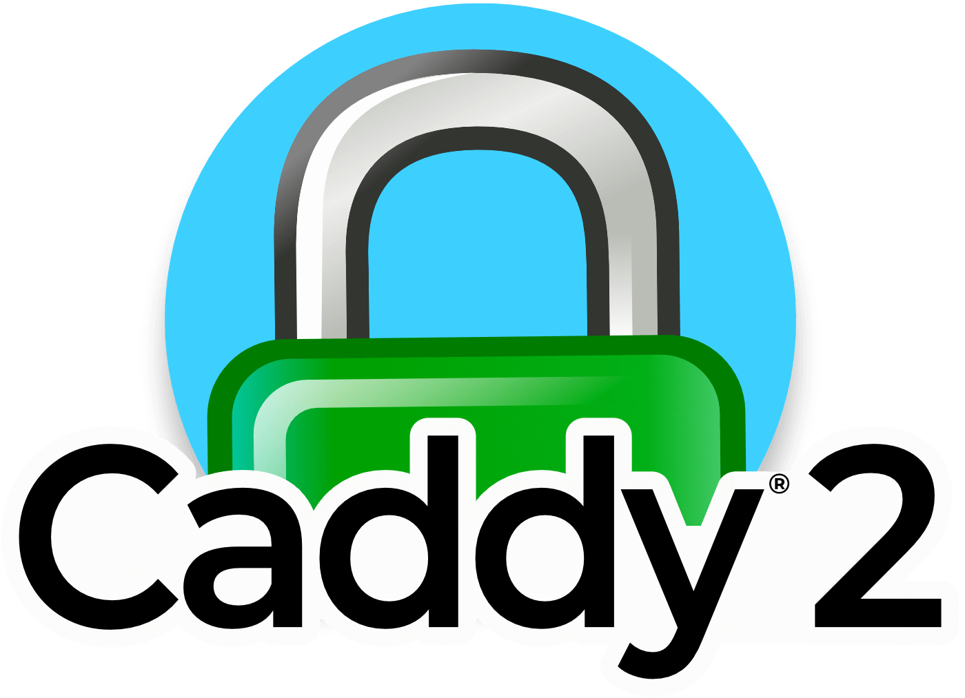 Caddy2 Reverse Proxy Docker Container caddy2 reverse proxy docker container